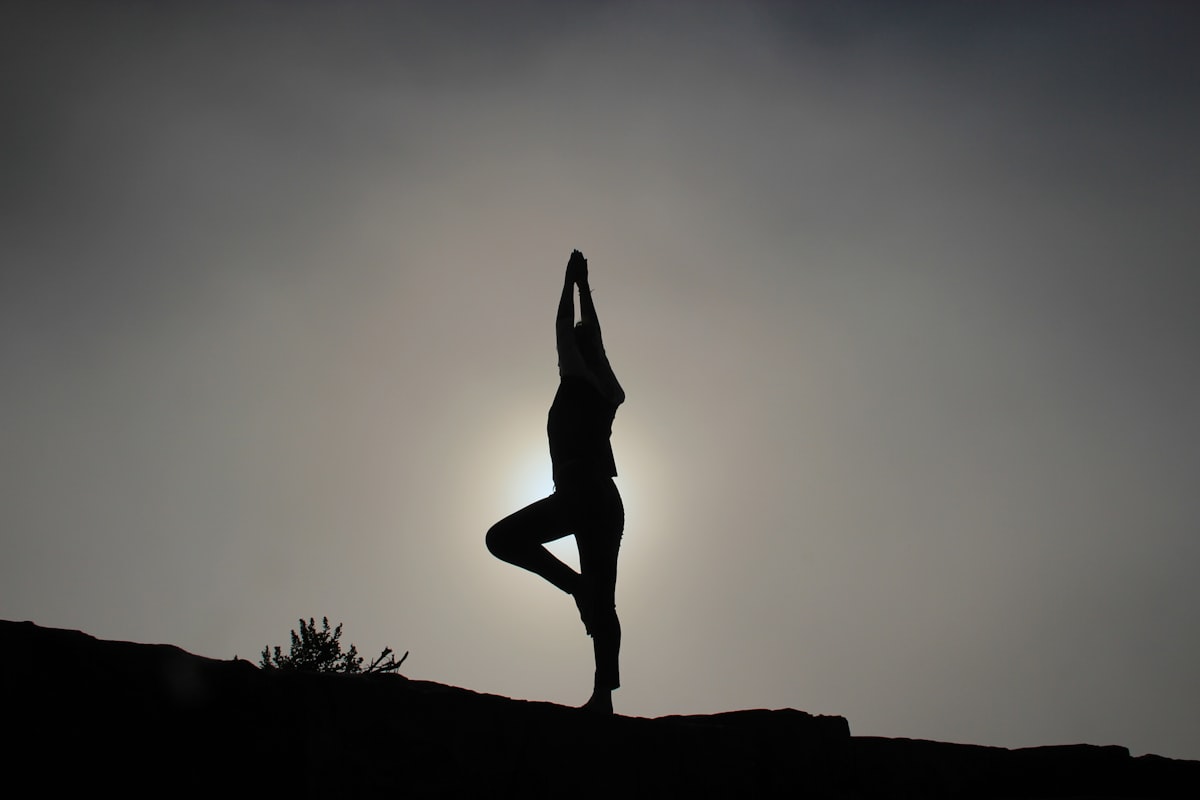 Qi and energy flow in Traditional Chinese Medicine